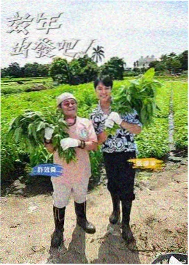 毛雪汪 综艺在线解析海报